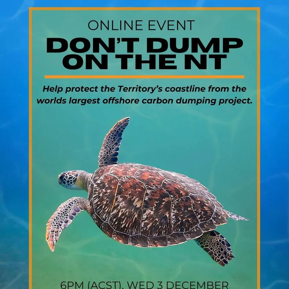 webinar+social